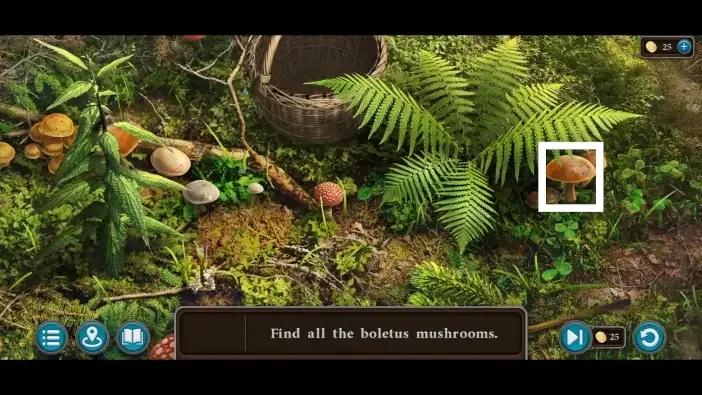 Legendary Tales 5, chapter 2: Boletus mushroom mini-game — scene and mechanism
