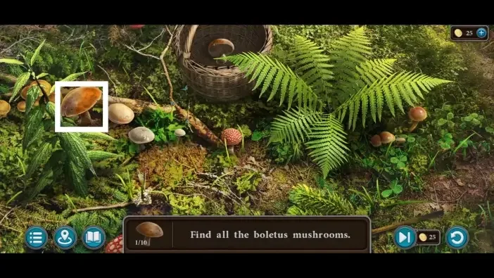Legendary Tales 5, chapter 2: Boletus mushroom mini-game — puzzle diagram