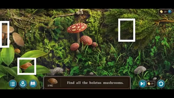 Legendary Tales 5, chapter 2: Boletus mushroom mini-game — puzzle diagram