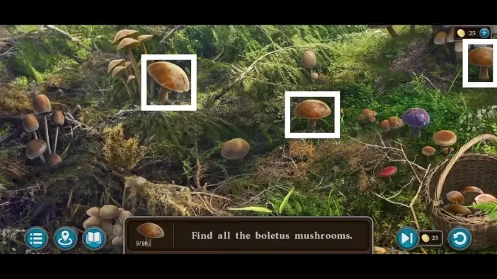 Legendary Tales 5, chapter 2: Boletus mushroom mini-game — puzzle diagram