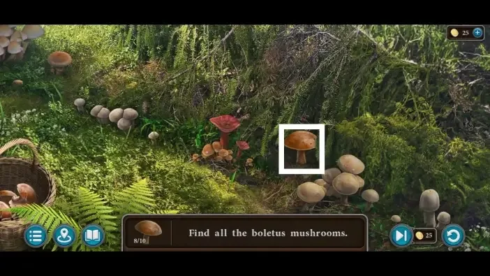 Legendary Tales 5, chapter 2: Boletus mushroom mini-game — puzzle diagram